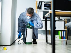 Schädlingsbekämpfung in Edewecht
